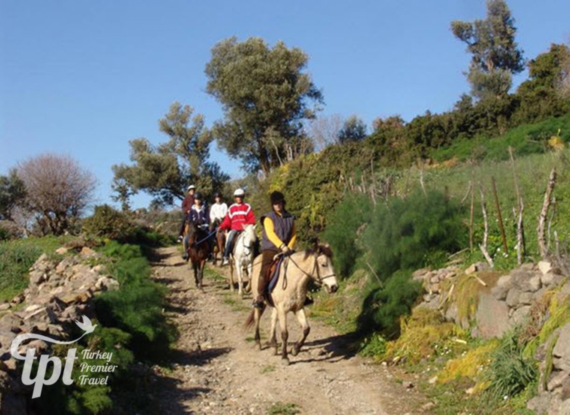 Horse Riding Tour Ephesus