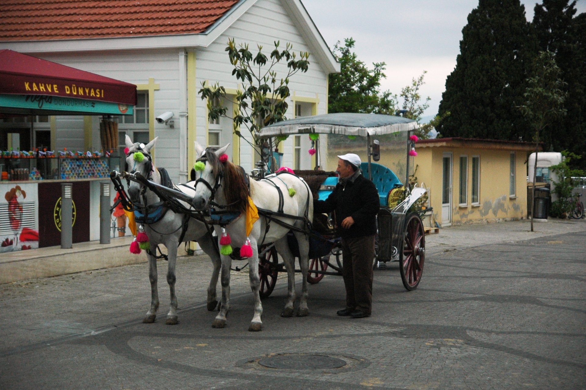 İstanbul Prince’s island Tour 